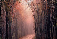 C7娱乐官网:领先12分也不保险!英超战火重燃,三大隐患困扰红军,还真输不的.