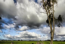 C7娱乐官网:中国足协:深刻反思总结世预赛中日之战经验教训.