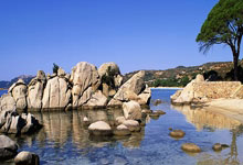 C7娱乐官网：[中超]第4轮：北京国安2-2上海海港 集锦.